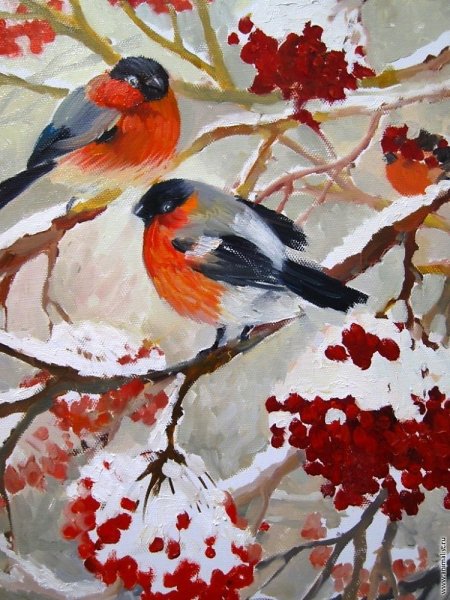 Снегири на ветке