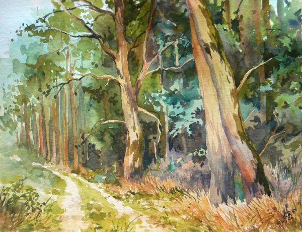 Шишкин пленэр