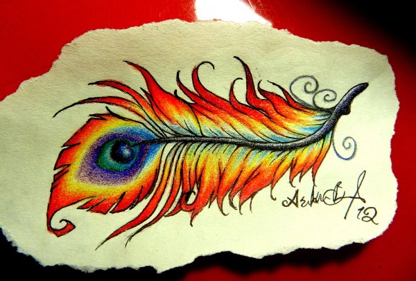 Перо павлина живопись