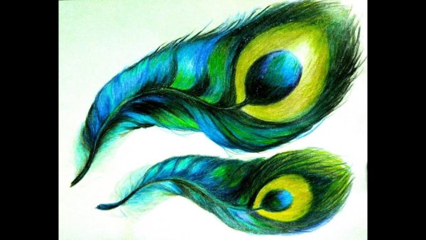 Жар птица рисунок гуашью