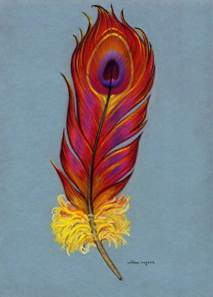 Перо сказочной птицы