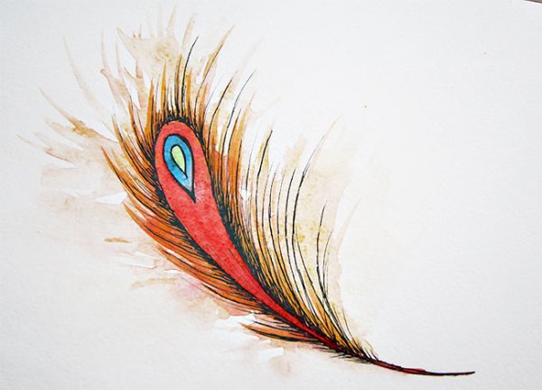 Рисование перо Жар птицы