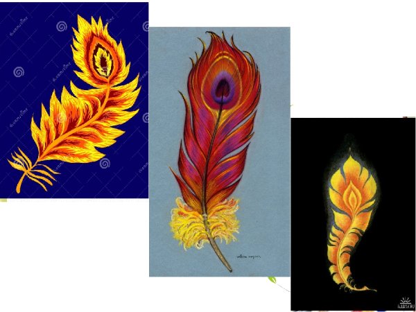 Павлин картина маслом