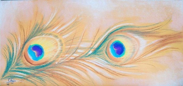 Перо птицы Феникс