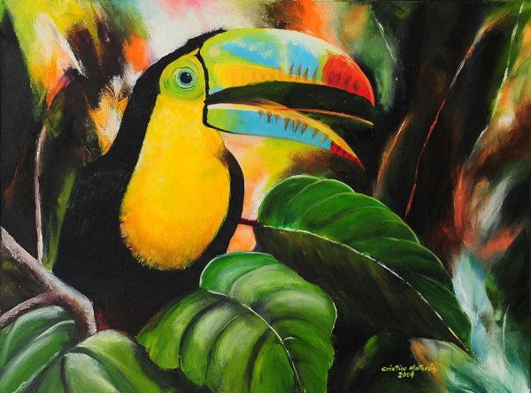 Тукан гуашью