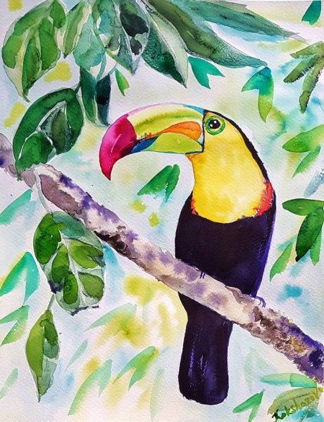 Тропическая птица акрил Тукан