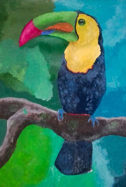 Тукан гуашью