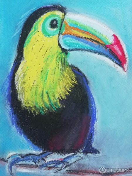 Картина Тукан мазками