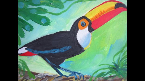 Тукан акварелью