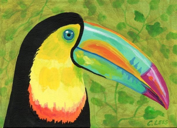 Тукан акварелью скетч