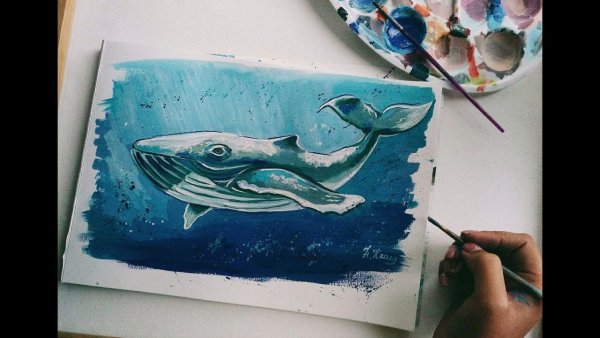 Кит красками