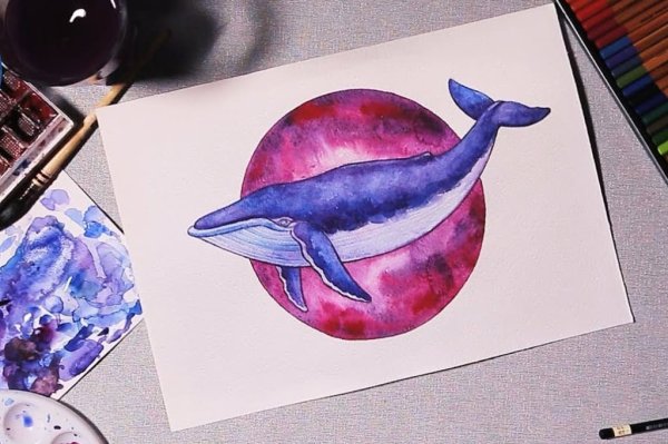 Канал кит рисование гуашью