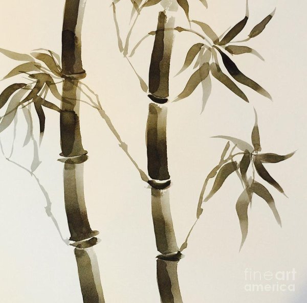 Бамбук Эстетика Китай