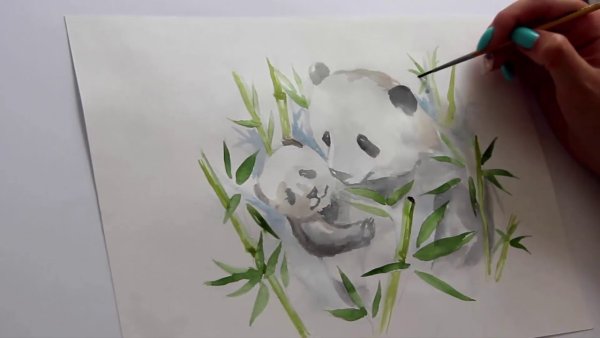 Панда рисунок акварелью для начинающих