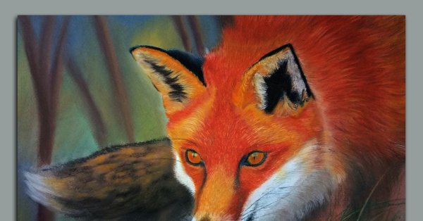 Рисунок пастелью Лис