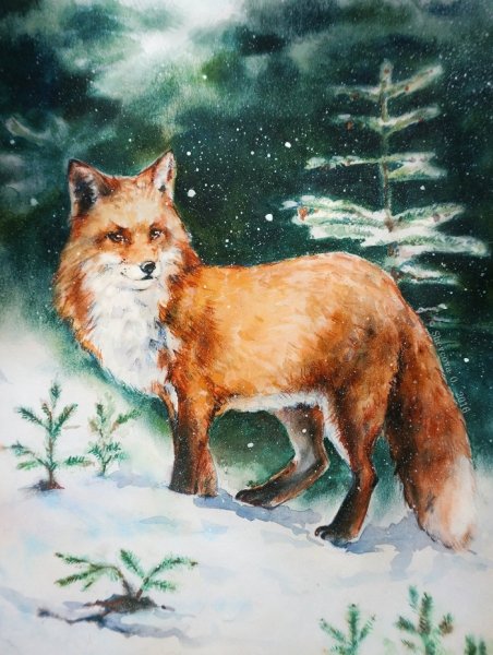 Лисичка гуашью