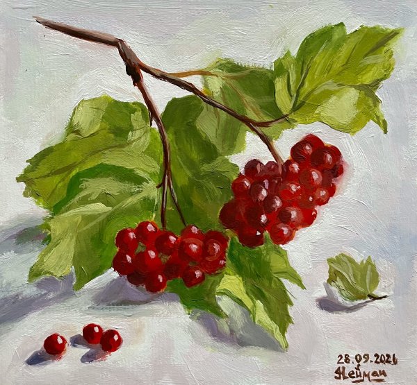 Калина гуашью