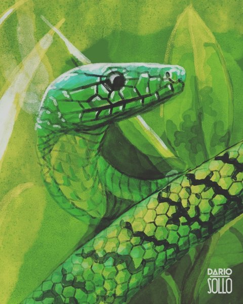 Змея акрилом