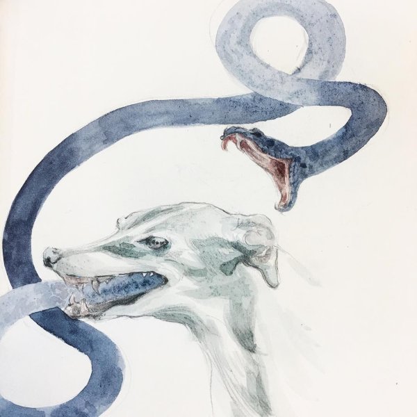 Змеи акварелью