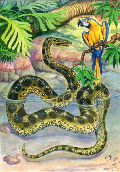 Змея гуашью