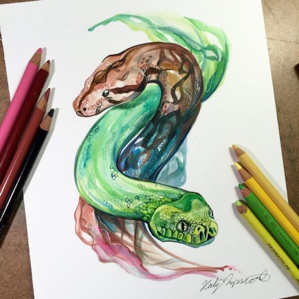 Змея цветными карандашами
