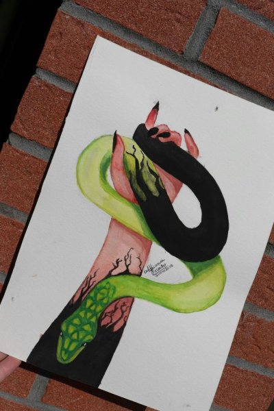 Змея маркерами