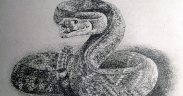 Гадюка живопись