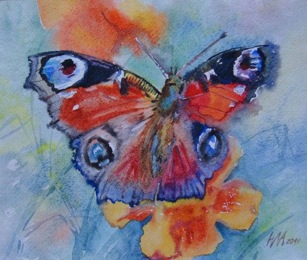 Акварель "бабочка"