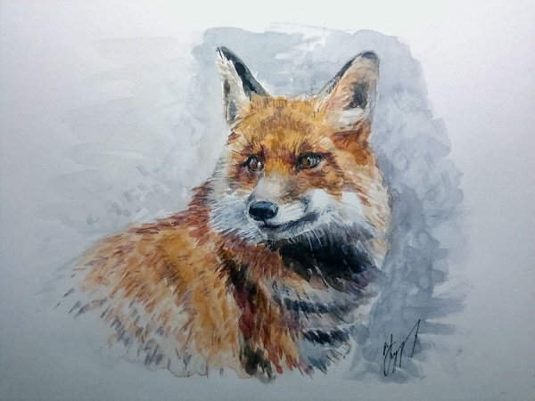 Рисование животных гуашью