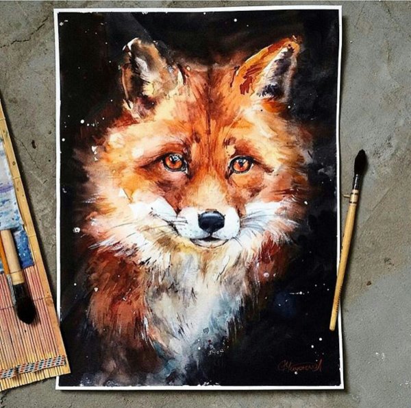 Лиса красками гуашь