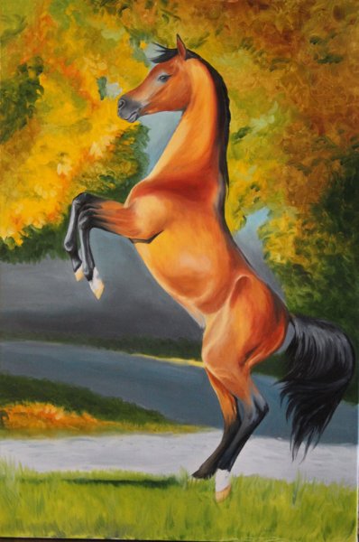 Лошадь рисунок