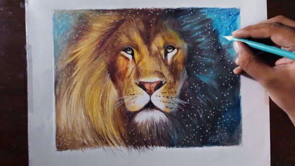 Лев рисунок