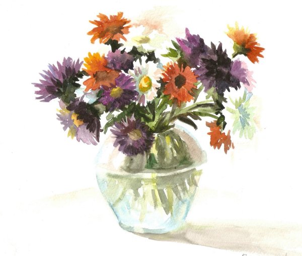 Желтая Гербера акварель