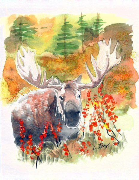 Лось красками