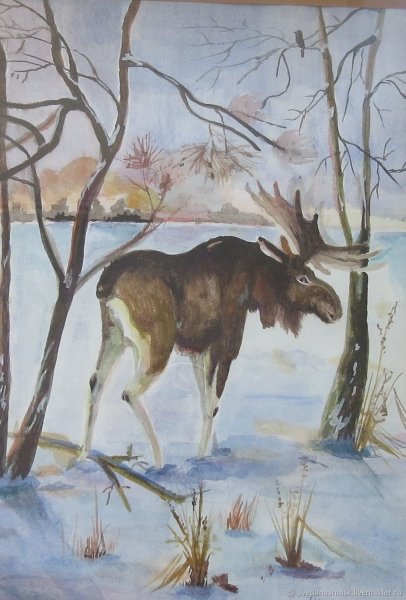 Картина лоси