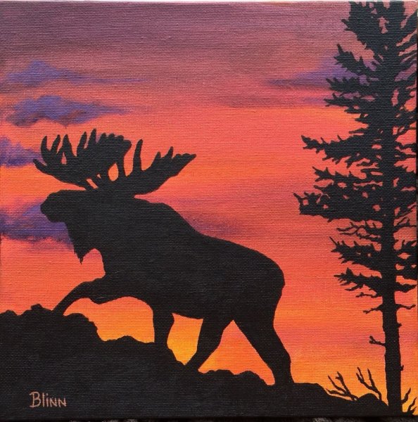 Красивые силуэты животных