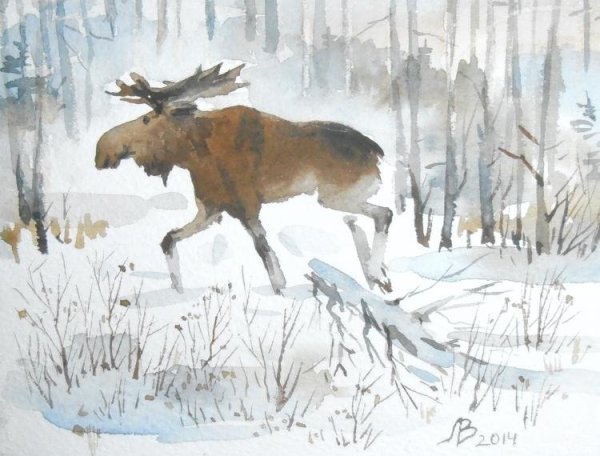 Лось гуашью