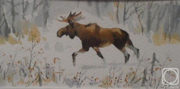 Лось в лесу . В акварели