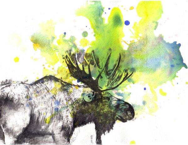 Несколько животных акварель