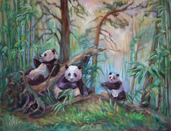 Панда в бамбуковом лесу