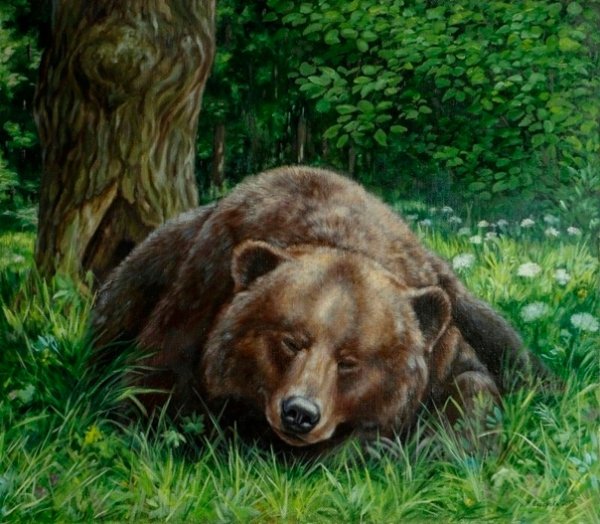 Марина Ефремова художник-анималист картины