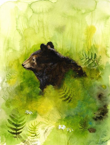 Медвежонок акварель