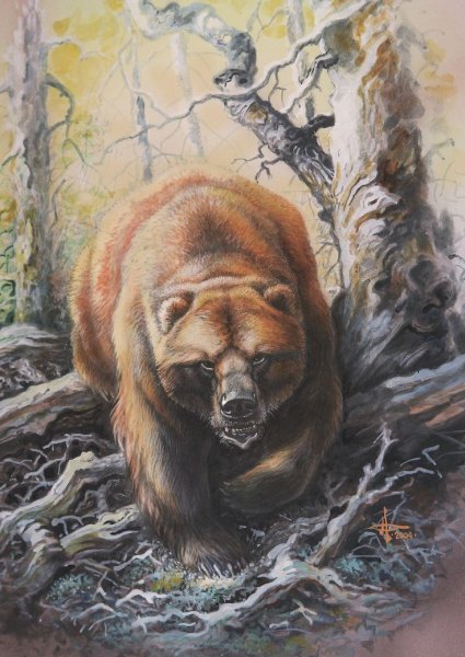 Иллюстратор Александр Дегтев