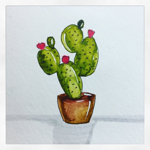 Кактус гуашью