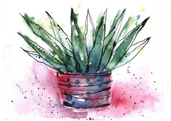 Суккулент кактусы гуашь