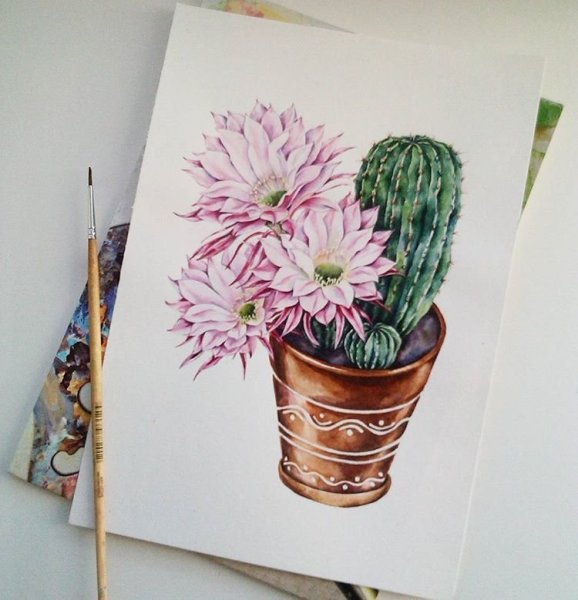 Кактус акварелью