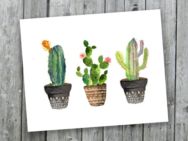 Акварельные кактусы