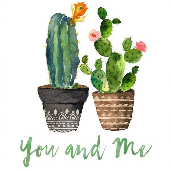 Скетчинг Кактус в горшке