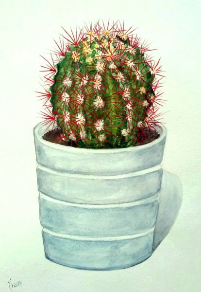 Рисование Кактус в горшке