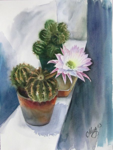 Комнатные цветы акварелью